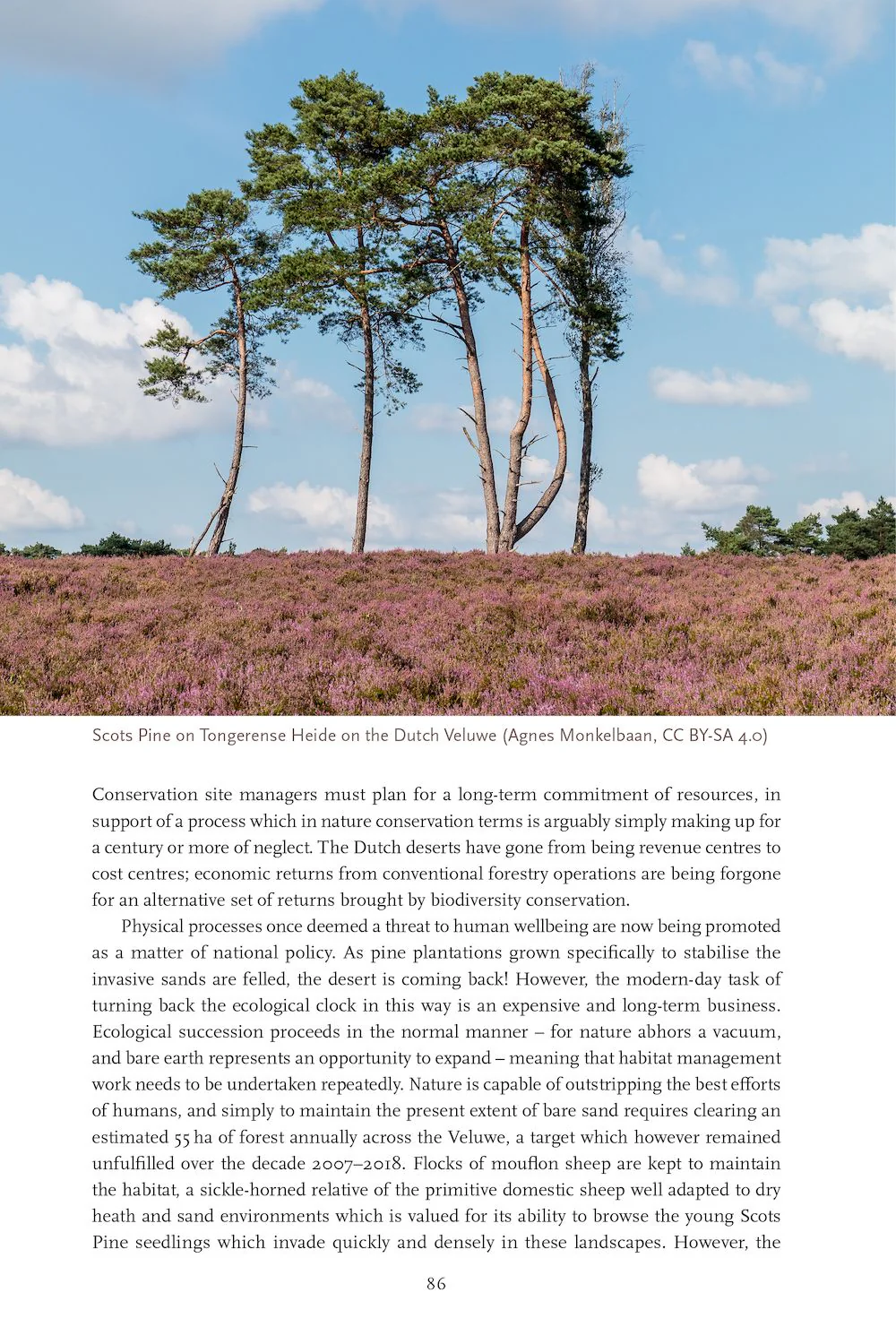 European Deserts - Sandy Wilderness on a Green Continent