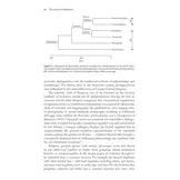 The Ascent of Mammals - How DNA Discoveries are Rewriting our Story