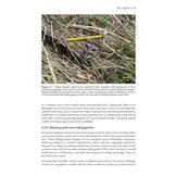 The Otter Field Survey and Monitoring Handbook - A Practical Guide to Field and Camera-Trap Surveys