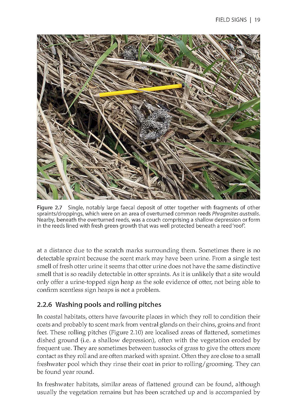 The Otter Field Survey and Monitoring Handbook - A Practical Guide to Field and Camera-Trap Surveys