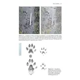 The Otter Field Survey and Monitoring Handbook - A Practical Guide to Field and Camera-Trap Surveys