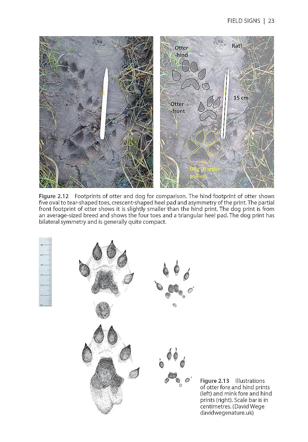 The Otter Field Survey and Monitoring Handbook - A Practical Guide to Field and Camera-Trap Surveys
