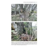 The Otter Field Survey and Monitoring Handbook - A Practical Guide to Field and Camera-Trap Surveys