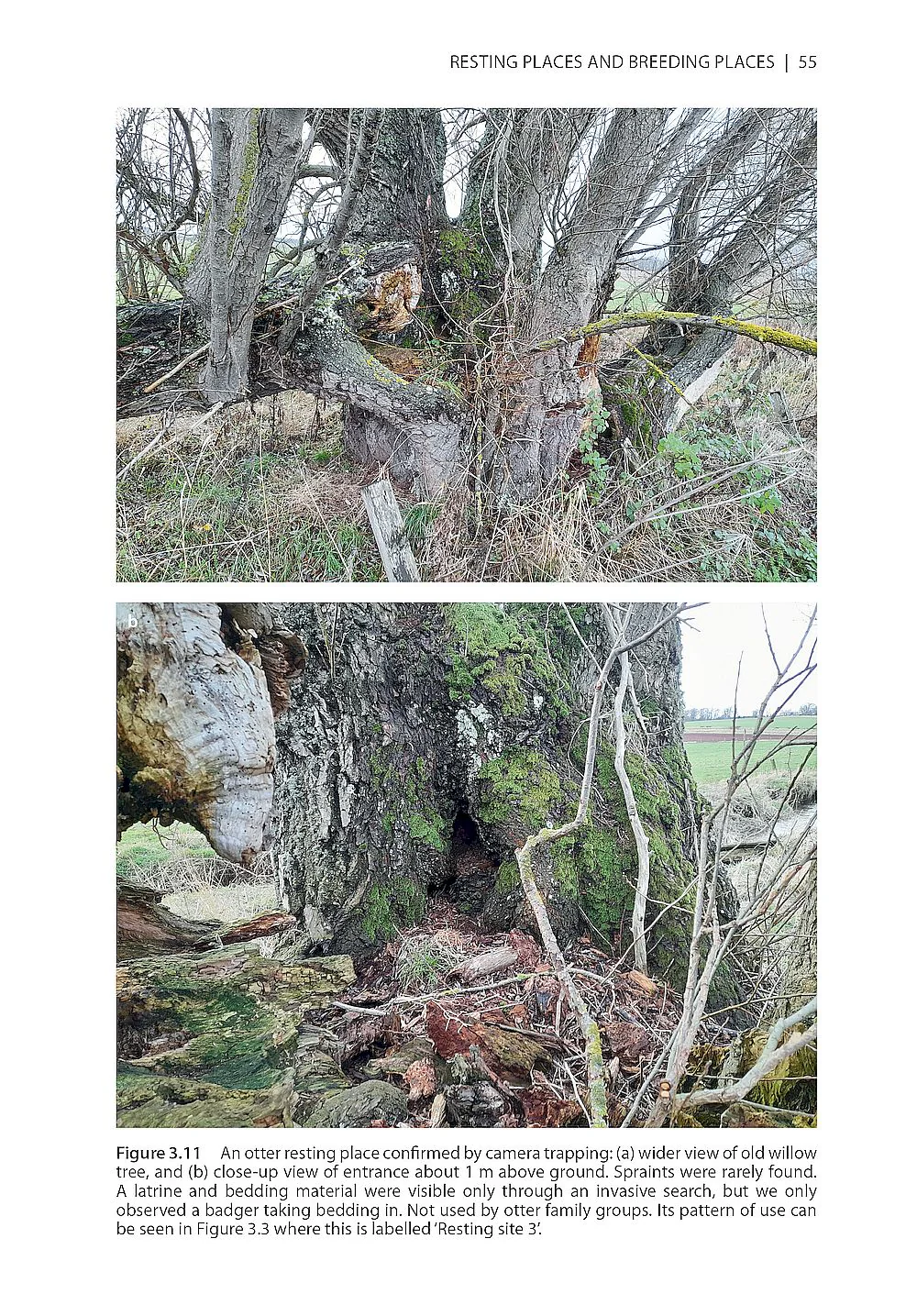 The Otter Field Survey and Monitoring Handbook - A Practical Guide to Field and Camera-Trap Surveys