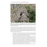 The Otter Field Survey and Monitoring Handbook - A Practical Guide to Field and Camera-Trap Surveys