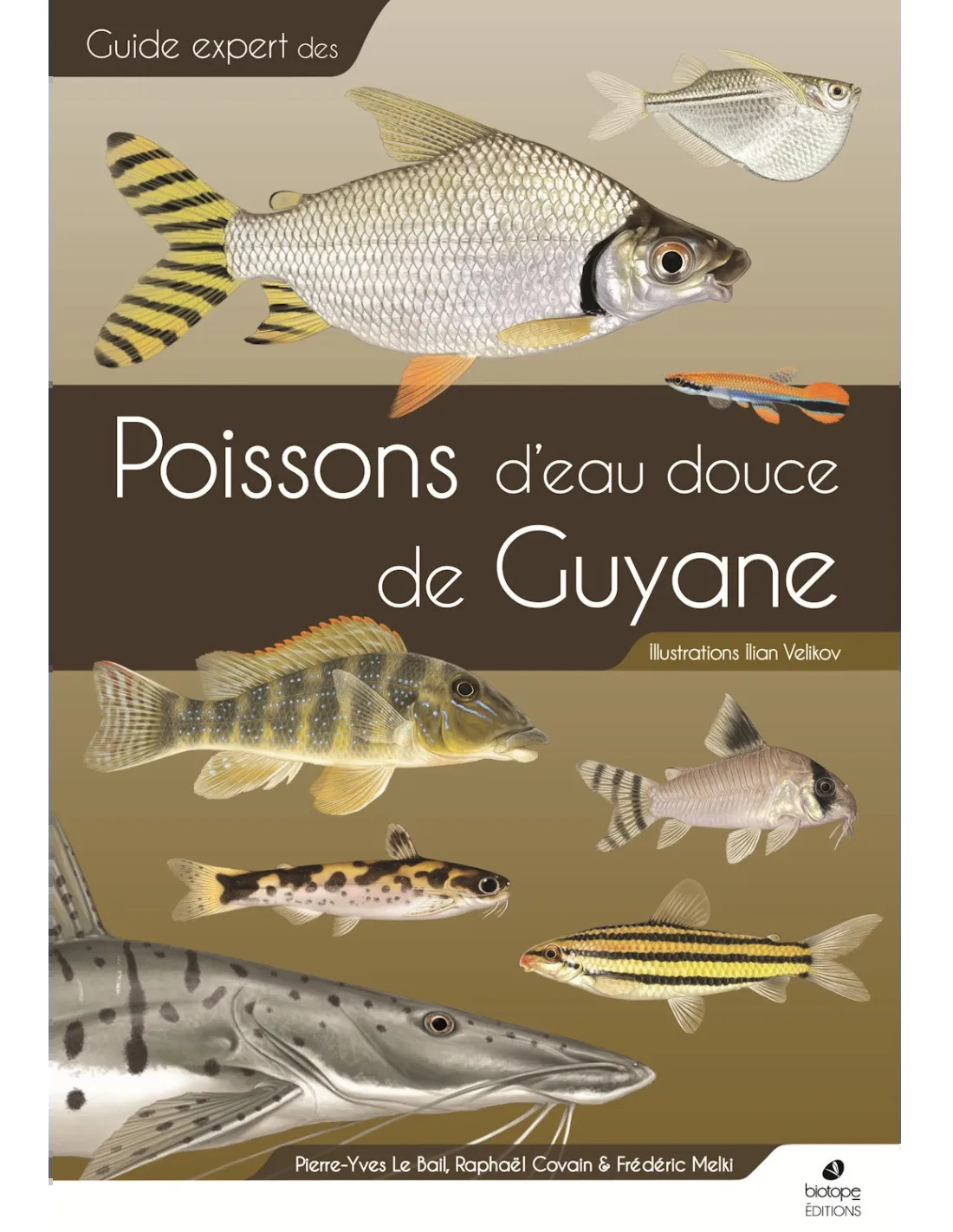 Guide expert des Poissons d'eau douce de Guyane