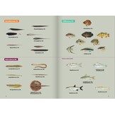 Guide expert des Poissons d'eau douce de Guyane