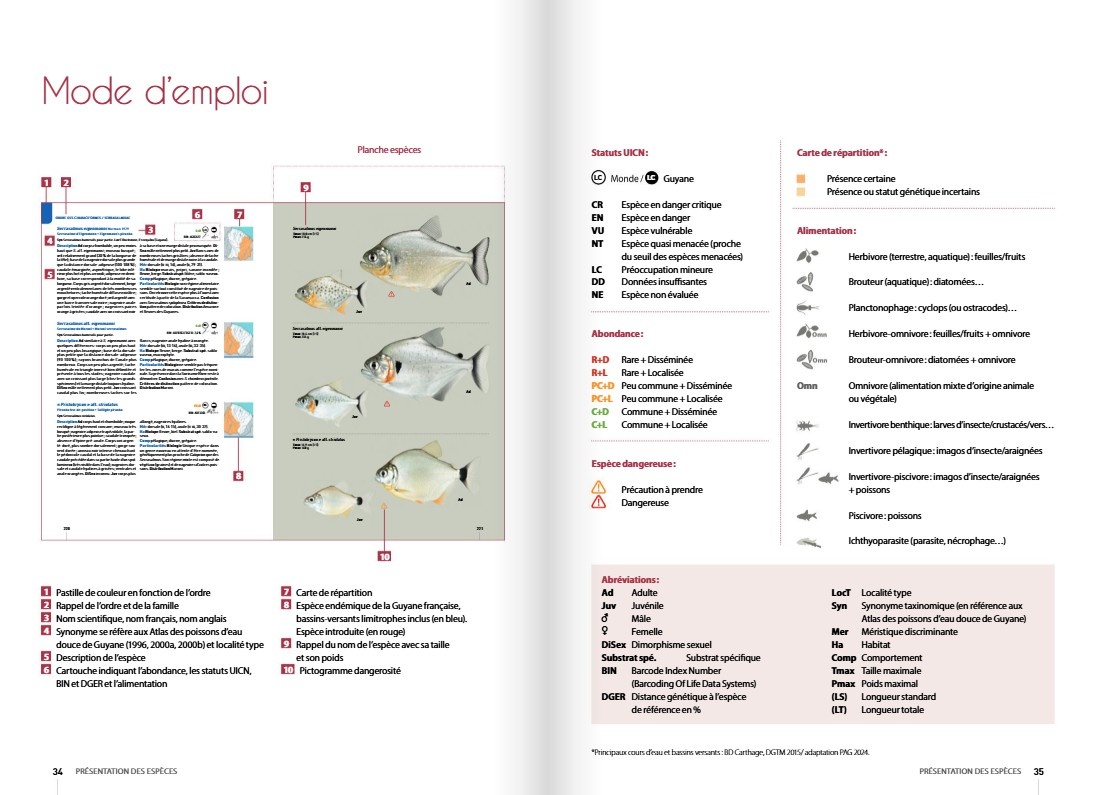 Guide expert des Poissons d'eau douce de Guyane