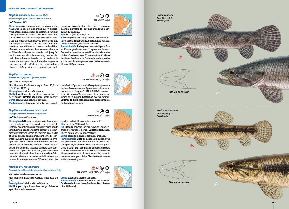 Guide expert des Poissons d'eau douce de Guyane