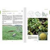 Atlas de la flore des Terres australes françaises