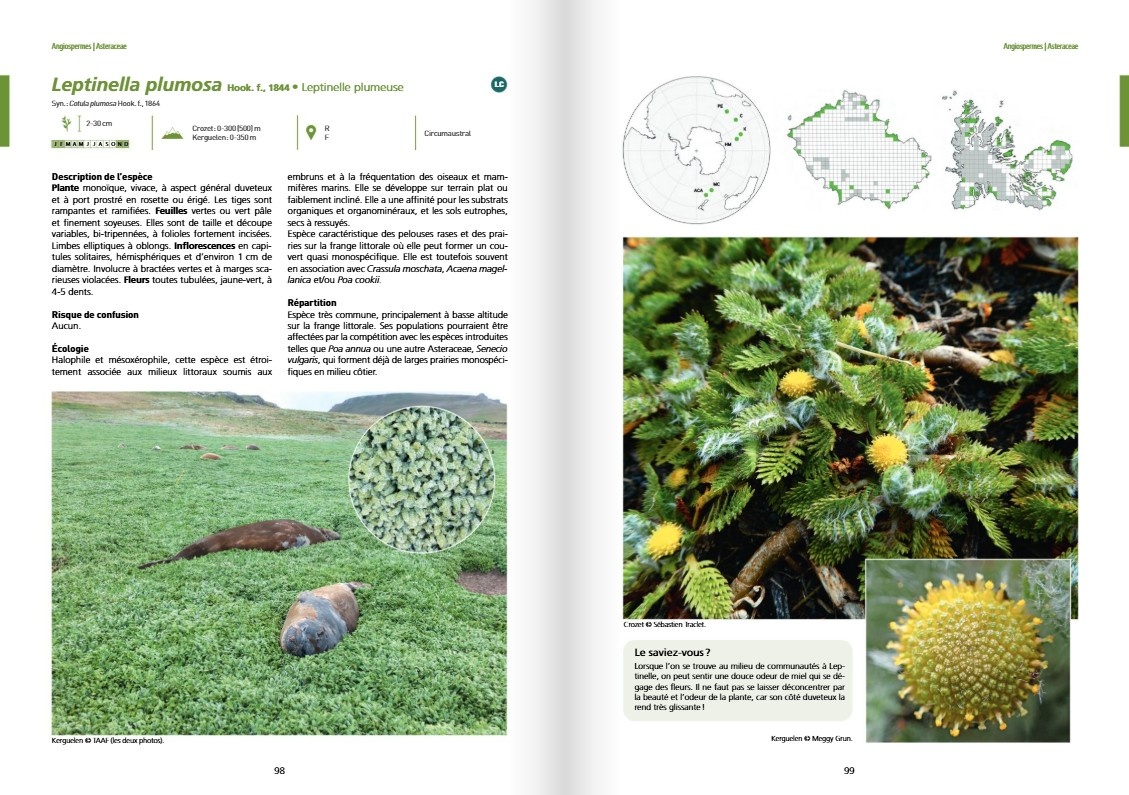 Atlas de la flore des Terres australes françaises