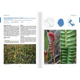 Atlas de la flore des Terres australes françaises