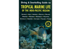 Diving & Snorkelling Guide to Tropical Marine Life of the Indo-Pacific Region