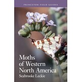 Moths of Western North America
