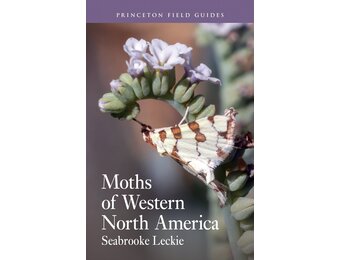 Moths of Western North America