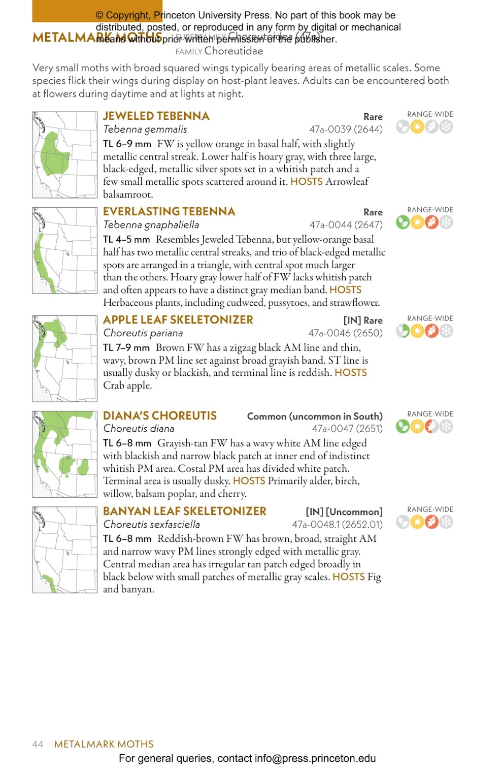 Moths of Western North America