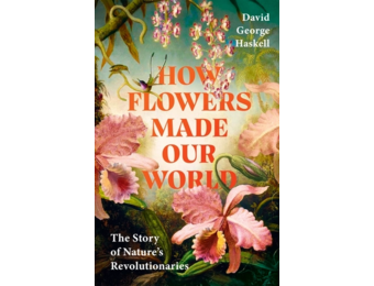 How Flowers Made Our World