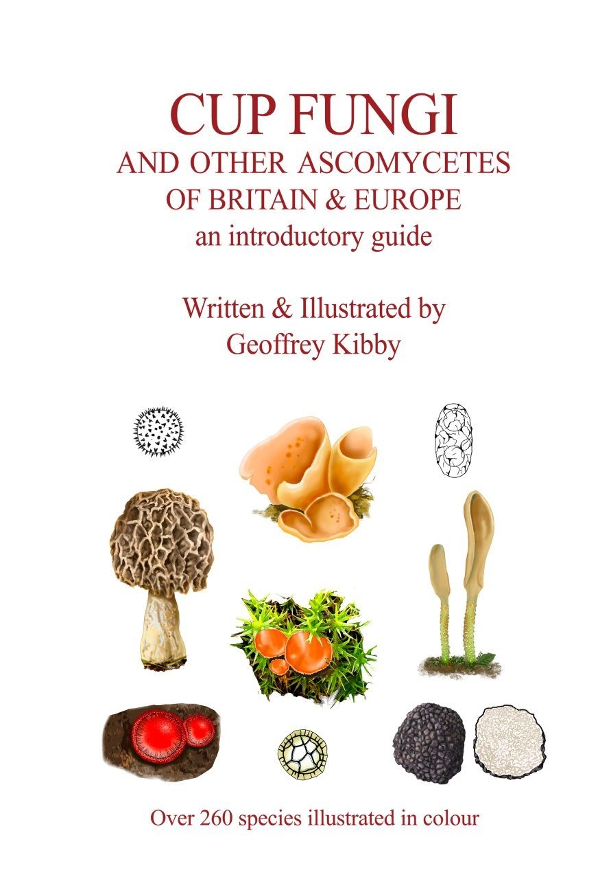 Cup Fungi and Other Ascomycetes of Britain & Europe - An Introductory Guide