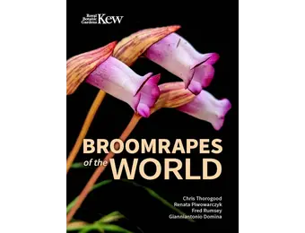 Broomrapes of the World