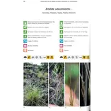 Photographic Field Guide to the Grasses of Madagascar / Angon-tsary Toro-hay Momba ny Bozaka Aman'ahitra Eto Madagasikara