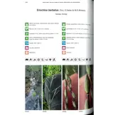 Photographic Field Guide to the Grasses of Madagascar / Angon-tsary Toro-hay Momba ny Bozaka Aman'ahitra Eto Madagasikara