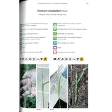 Photographic Field Guide to the Grasses of Madagascar / Angon-tsary Toro-hay Momba ny Bozaka Aman'ahitra Eto Madagasikara