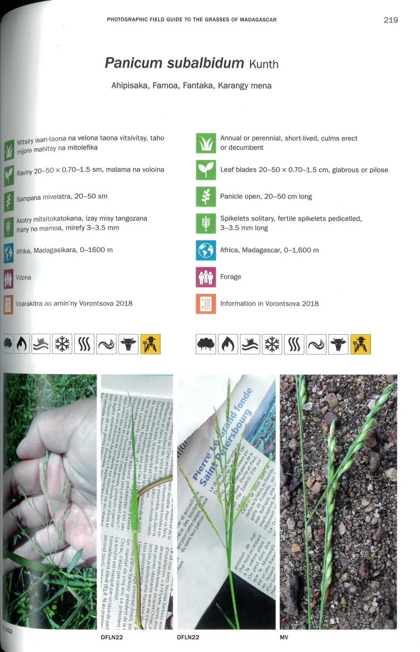 Photographic Field Guide to the Grasses of Madagascar / Angon-tsary Toro-hay Momba ny Bozaka Aman'ahitra Eto Madagasikara