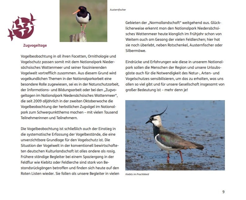 Vögel beobachten im Nationalpark Niedersächsisches Wattenmeer und im angrenzenden Binnenland