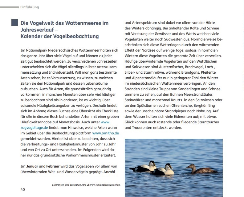 Vögel beobachten im Nationalpark Niedersächsisches Wattenmeer und im angrenzenden Binnenland