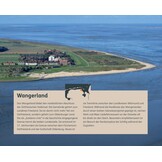 Vögel beobachten im Nationalpark Niedersächsisches Wattenmeer und im angrenzenden Binnenland