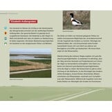 Vögel beobachten im Nationalpark Niedersächsisches Wattenmeer und im angrenzenden Binnenland