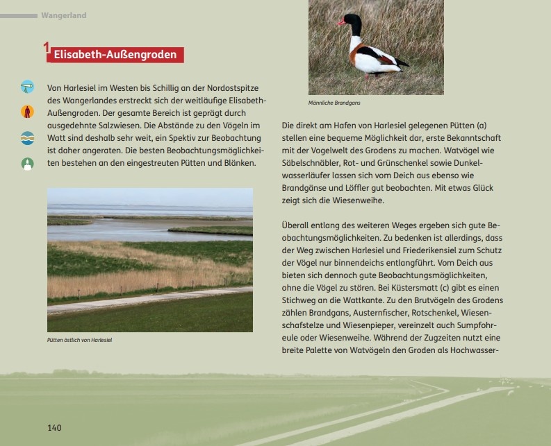 Vögel beobachten im Nationalpark Niedersächsisches Wattenmeer und im angrenzenden Binnenland