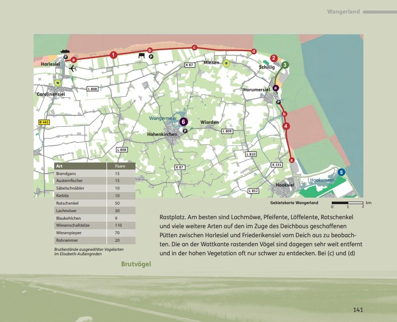 Vögel beobachten im Nationalpark Niedersächsisches Wattenmeer und im angrenzenden Binnenland