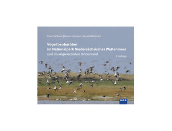 Vögel beobachten im Nationalpark Niedersächsisches Wattenmeer