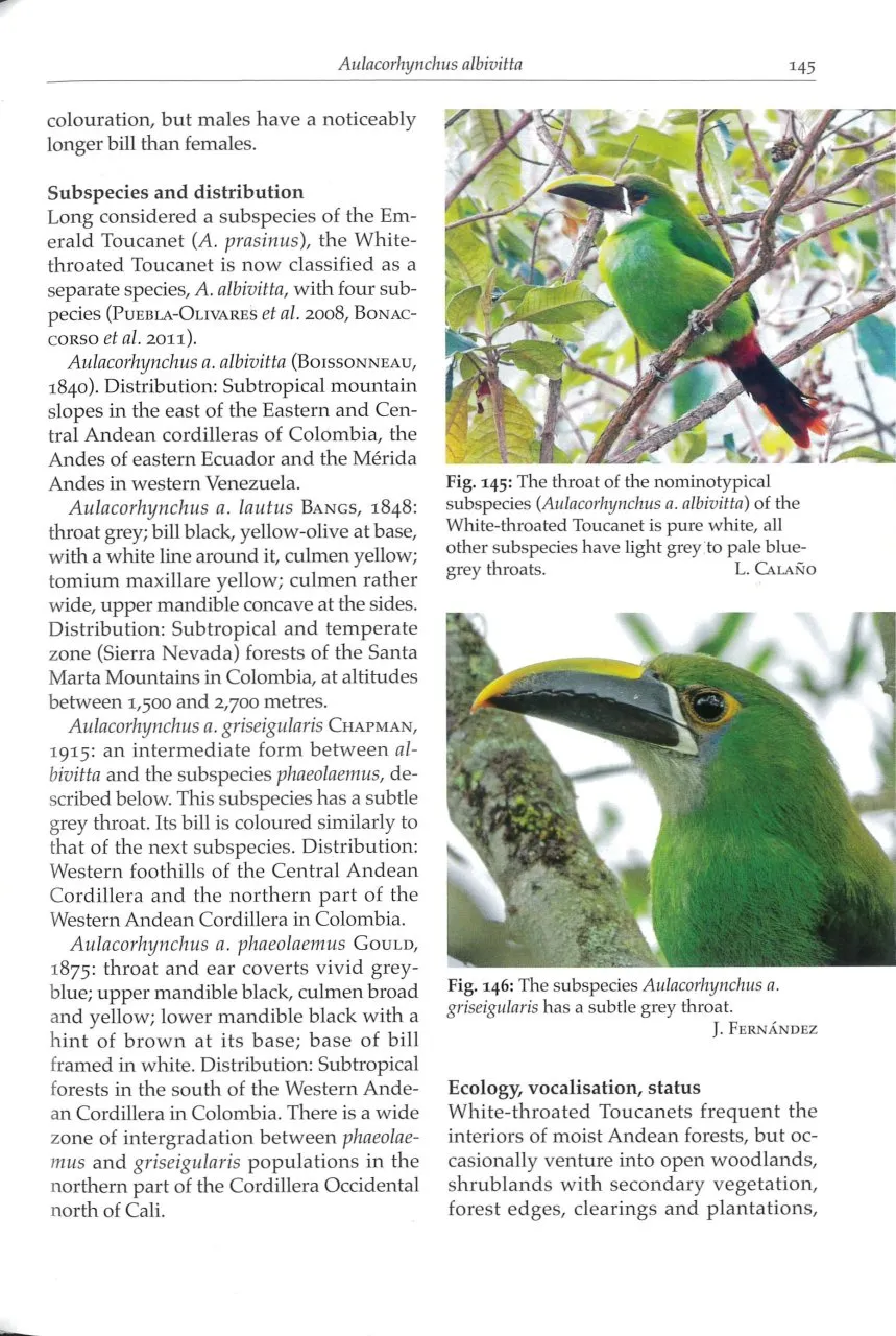 Toucans, Toucanets & Araçaris - Biology, Ecology, Behaviour
