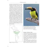 Toucans, Toucanets & Araçaris - Biology, Ecology, Behaviour