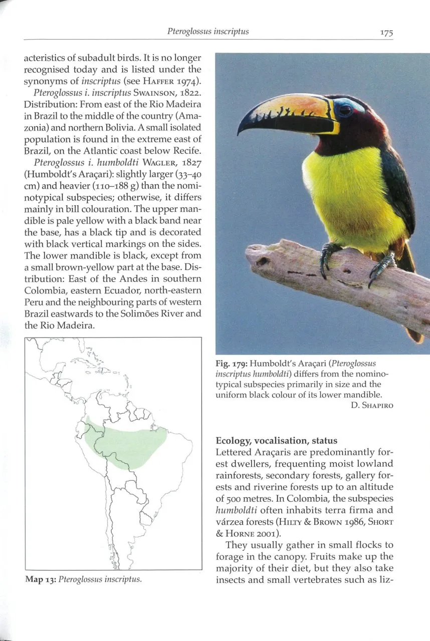 Toucans, Toucanets & Araçaris - Biology, Ecology, Behaviour