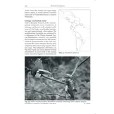Toucans, Toucanets & Araçaris - Biology, Ecology, Behaviour