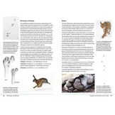 Fährten lesen und Spuren suchen - Das Handbuch