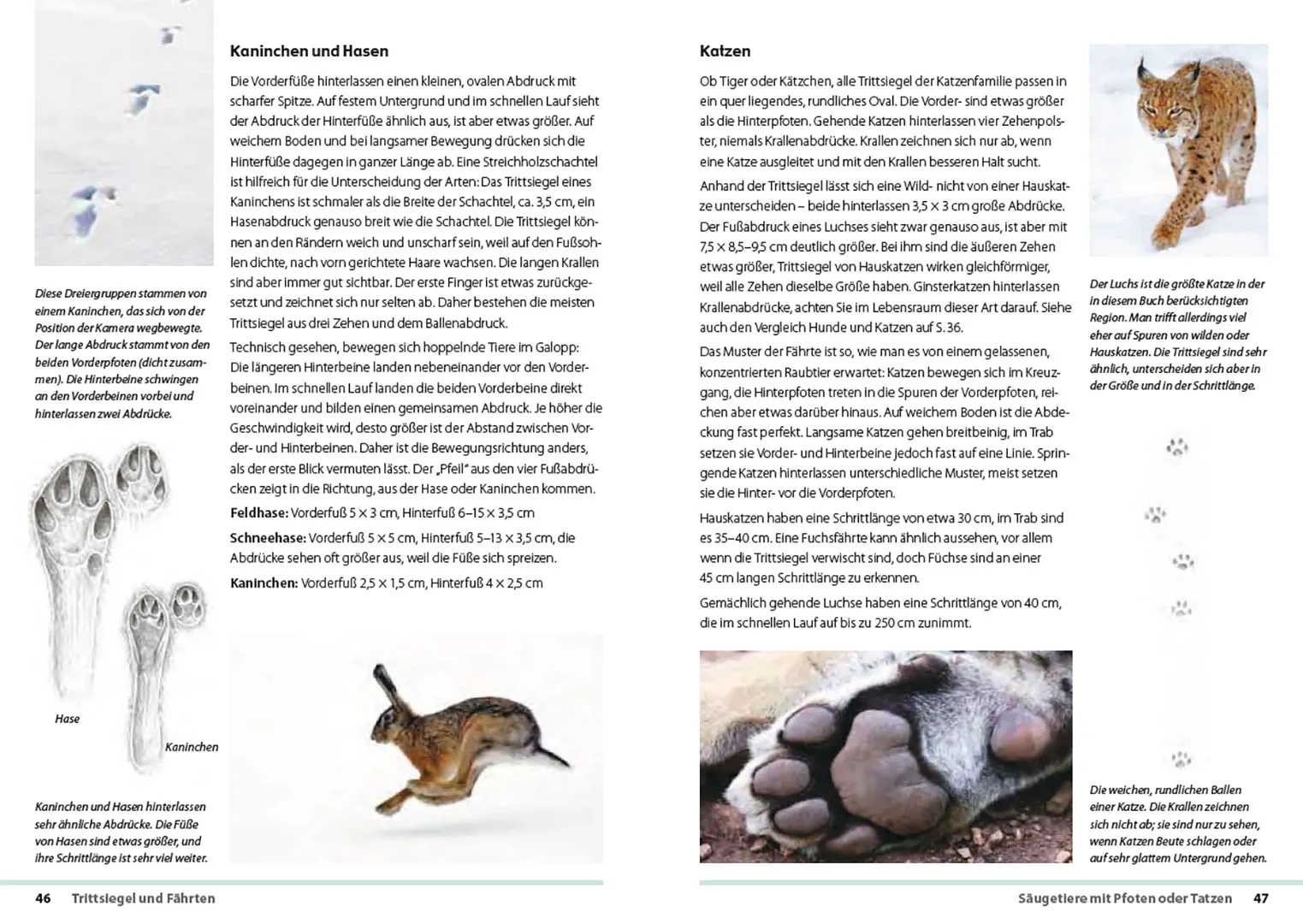 Fährten lesen und Spuren suchen - Das Handbuch