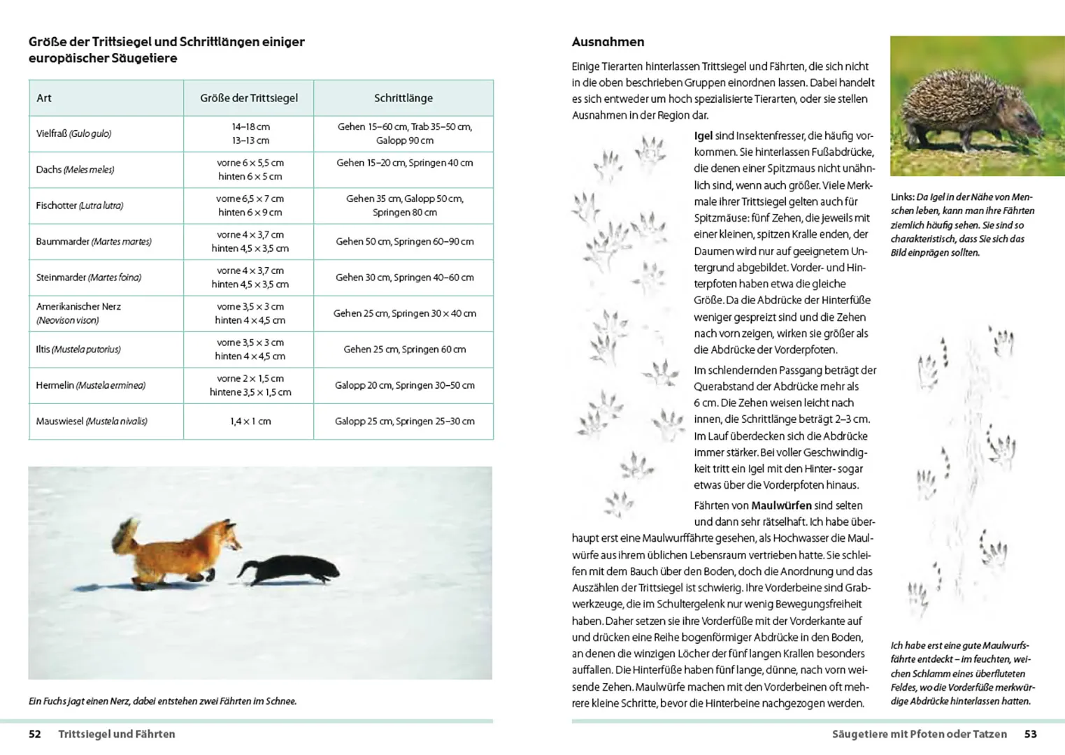 Fährten lesen und Spuren suchen - Das Handbuch