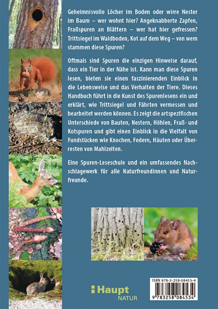 Fährten lesen und Spuren suchen - Das Handbuch