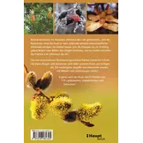 Bäume bestimmen - Knospen, Blüten, Blätter, Früchte