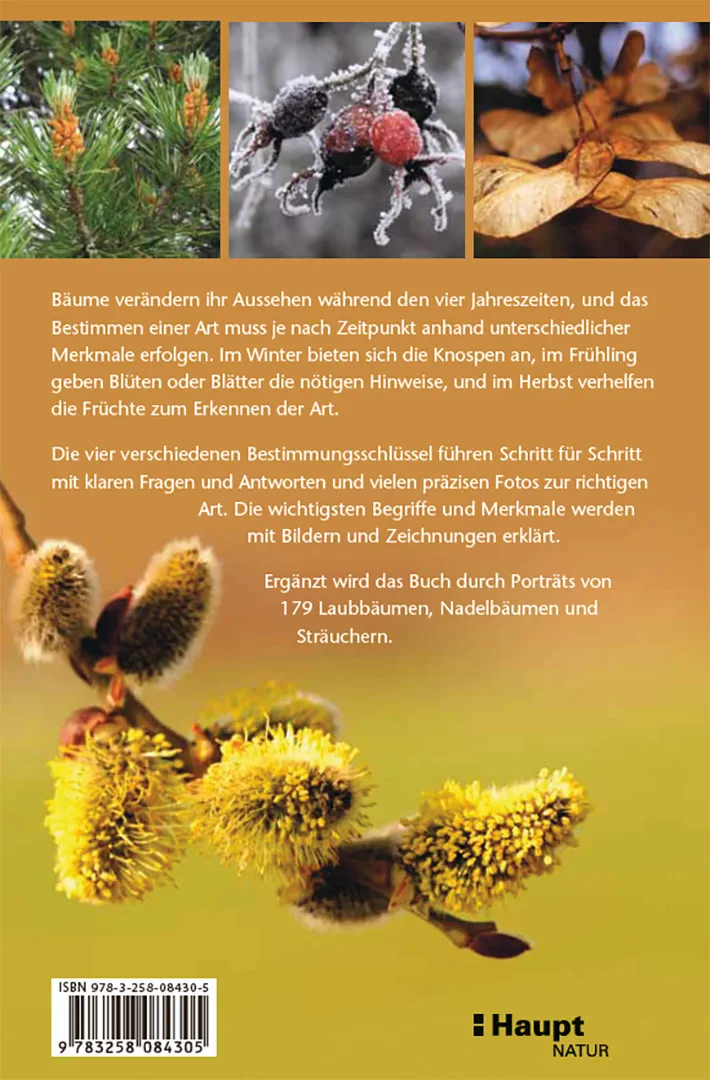 Bäume bestimmen - Knospen, Blüten, Blätter, Früchte