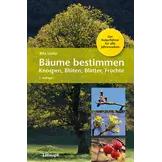 Bäume bestimmen - Knospen, Blüten, Blätter, Früchte