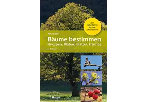 Bäume bestimmen - Knospen, Blüten, Blätter, Früchte