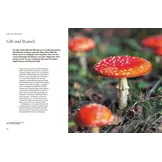 Pilze - Das verborgene Reich der geheimnisvollen Lebewesen