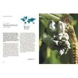 Pilze - Das verborgene Reich der geheimnisvollen Lebewesen