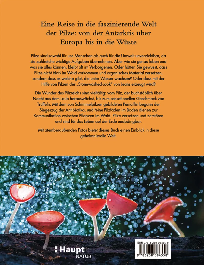Pilze - Das verborgene Reich der geheimnisvollen Lebewesen
