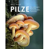Pilze - Das verborgene Reich der geheimnisvollen Lebewesen